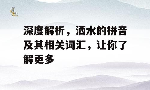 深度解析，洒水的拼音及其相关词汇，让你了解更多