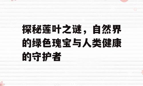 探秘莲叶之谜，自然界的绿色瑰宝与人类健康的守护者