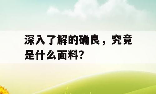 深入了解的确良，究竟是什么面料？