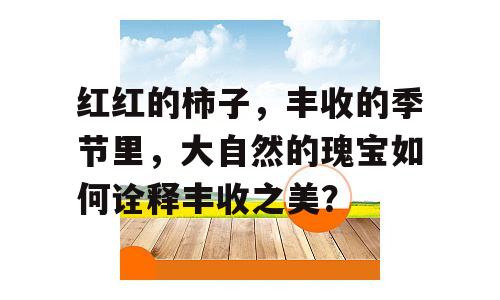 红红的柿子，丰收的季节里，大自然的瑰宝如何诠释丰收之美？