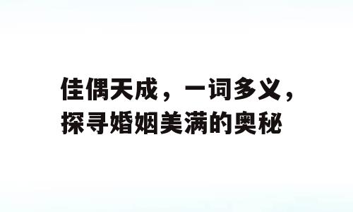 佳偶天成，一词多义，探寻婚姻美满的奥秘
