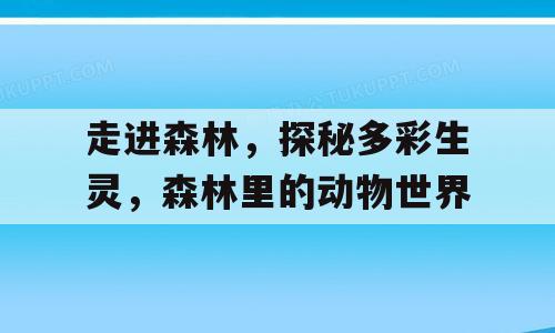 走进森林，探秘多彩生灵，森林里的动物世界
