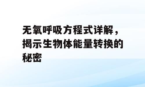 无氧呼吸方程式详解，揭示生物体能量转换的秘密