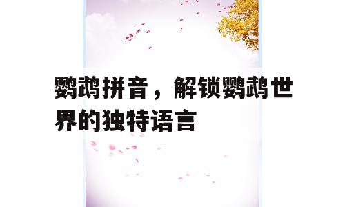 鹦鹉拼音，解锁鹦鹉世界的独特语言