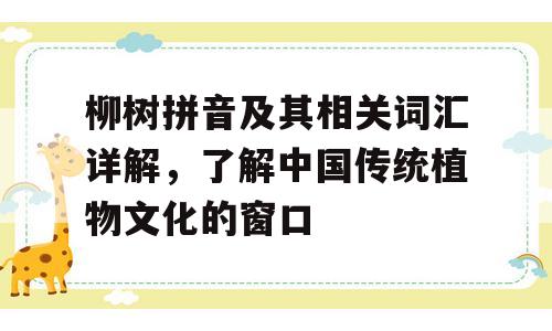 柳树拼音及其相关词汇详解，了解中国传统植物文化的窗口