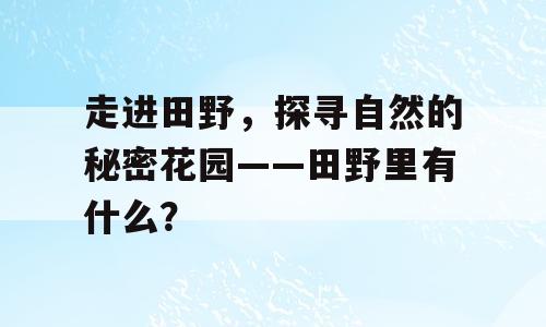 走进田野，探寻自然的秘密花园——田野里有什么？