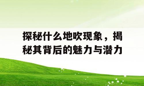 探秘什么地吹现象，揭秘其背后的魅力与潜力