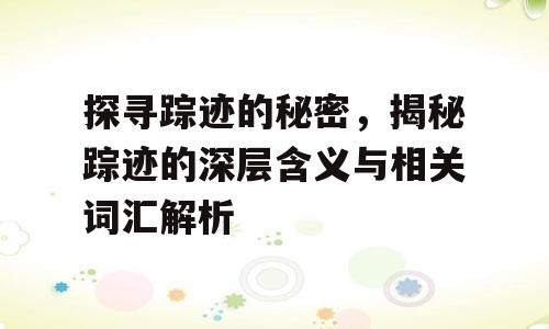 探寻踪迹的秘密，揭秘踪迹的深层含义与相关词汇解析