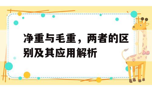 净重与毛重，两者的区别及其应用解析