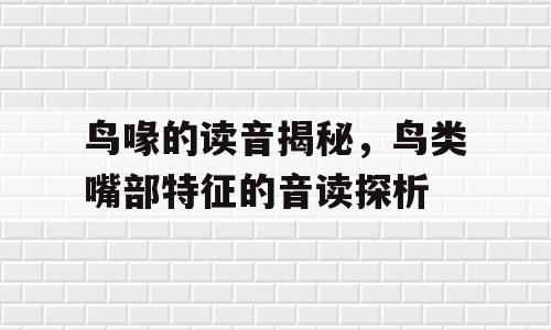鸟喙的读音揭秘，鸟类嘴部特征的音读探析