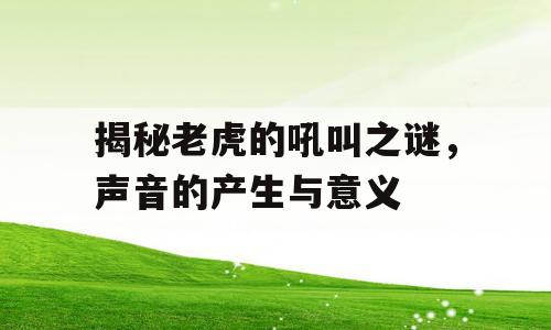 揭秘老虎的吼叫之谜，声音的产生与意义
