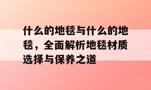 什么的地毯与什么的地毯，全面解析地毯材质选择与保养之道