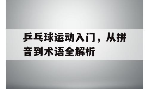 乒乓球运动入门，从拼音到术语全解析