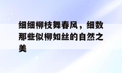 细细柳枝舞春风，细数那些似柳如丝的自然之美