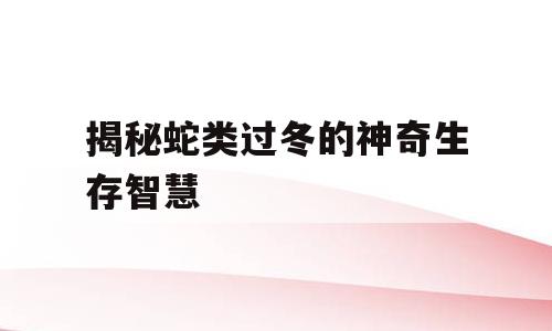 揭秘蛇类过冬的神奇生存智慧
