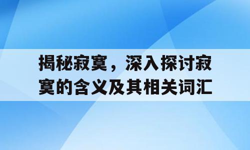 揭秘寂寞，深入探讨寂寞的含义及其相关词汇