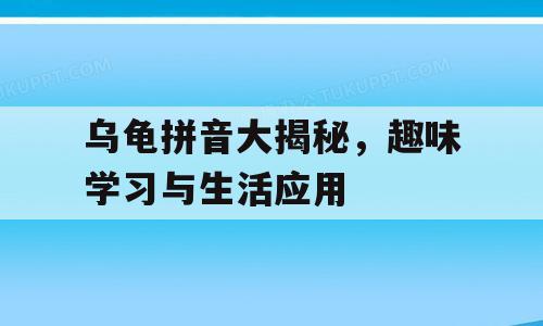 乌龟拼音大揭秘，趣味学习与生活应用