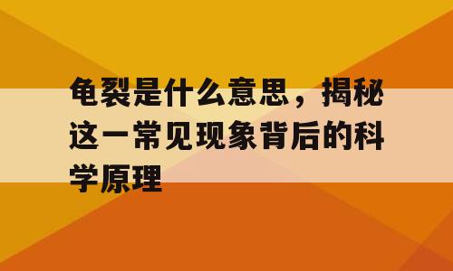 龟裂是什么意思，揭秘这一常见现象背后的科学原理