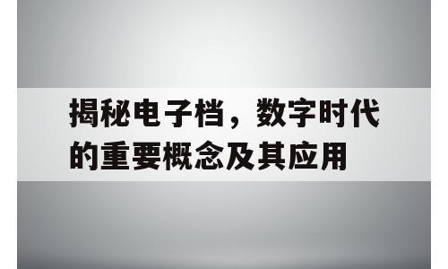 揭秘电子档，数字时代的重要概念及其应用