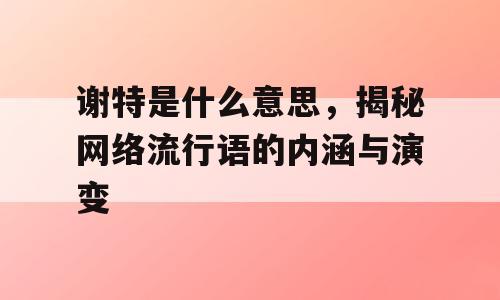 谢特是什么意思，揭秘网络流行语的内涵与演变
