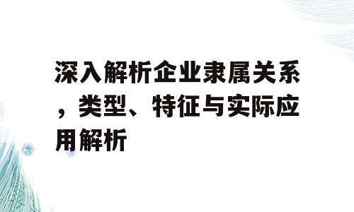 深入解析企业隶属关系，类型、特征与实际应用解析