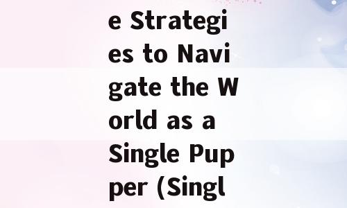 5 Effective Strategies to Navigate the World as a Single Pupper (Single Dog)