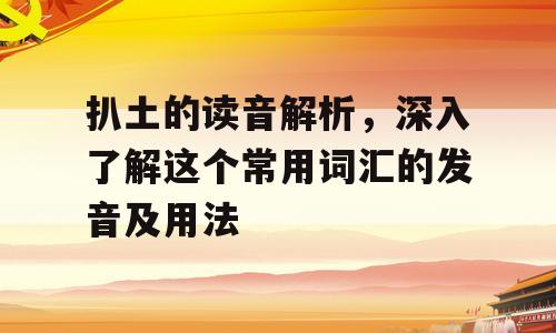 扒土的读音解析，深入了解这个常用词汇的发音及用法