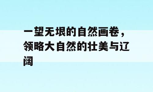 一望无垠的自然画卷，领略大自然的壮美与辽阔
