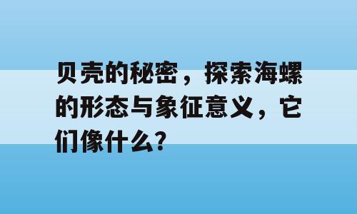 贝壳的秘密，探索海螺的形态与象征意义，它们像什么？