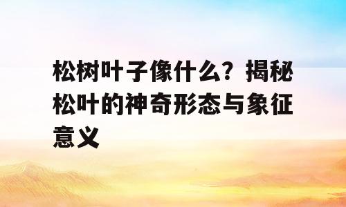松树叶子像什么？揭秘松叶的神奇形态与象征意义