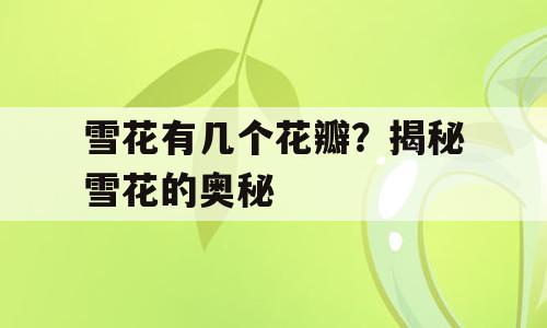 雪花有几个花瓣？揭秘雪花的奥秘