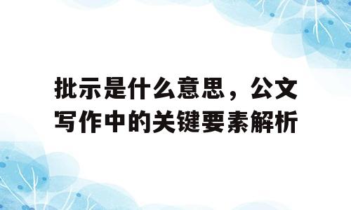 批示是什么意思，公文写作中的关键要素解析