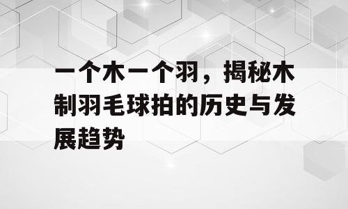 一个木一个羽，揭秘木制羽毛球拍的历史与发展趋势