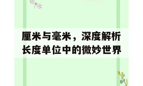 厘米与毫米，深度解析长度单位中的微妙世界