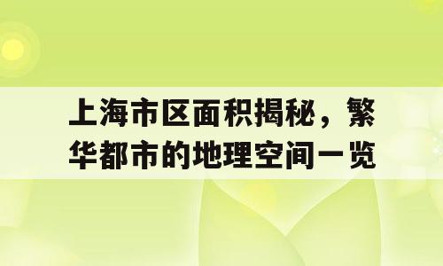 上海市区面积揭秘，繁华都市的地理空间一览