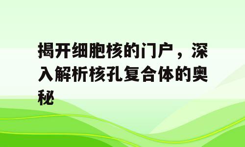 揭开细胞核的门户，深入解析核孔复合体的奥秘