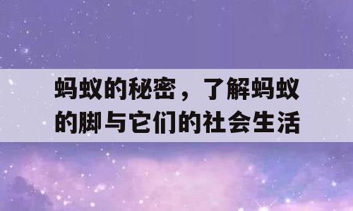 蚂蚁的秘密，了解蚂蚁的脚与它们的社会生活
