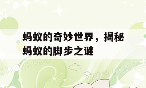 蚂蚁的奇妙世界，揭秘蚂蚁的脚步之谜