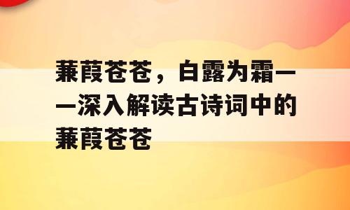 蒹葭苍苍，白露为霜——深入解读古诗词中的蒹葭苍苍