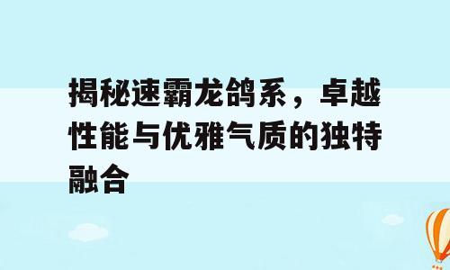 揭秘速霸龙鸽系，卓越性能与优雅气质的独特融合
