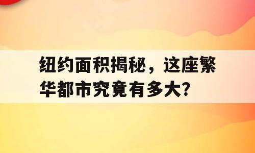 纽约面积揭秘，这座繁华都市究竟有多大？