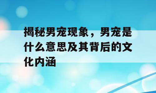 揭秘男宠现象，男宠是什么意思及其背后的文化内涵