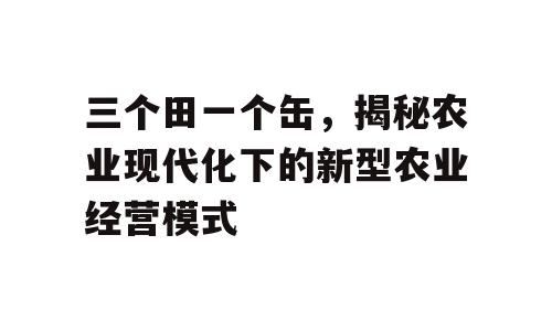三个田一个缶，揭秘农业现代化下的新型农业经营模式