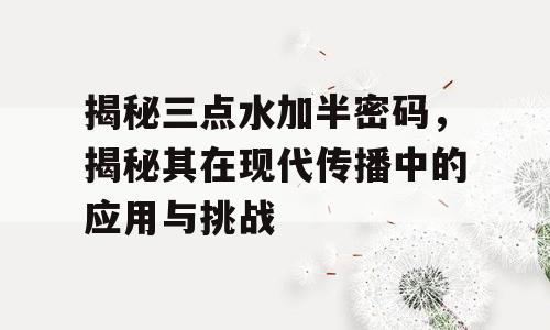 揭秘三点水加半密码，揭秘其在现代传播中的应用与挑战