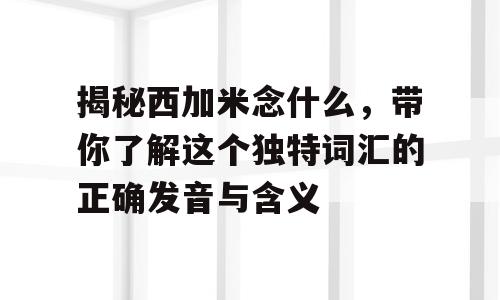 揭秘西加米念什么，带你了解这个独特词汇的正确发音与含义