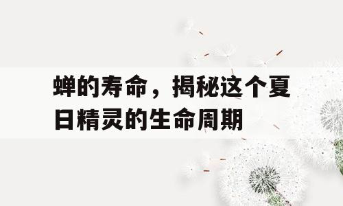 蝉的寿命，揭秘这个夏日精灵的生命周期