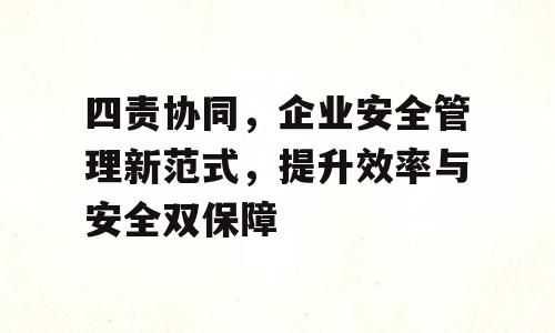 四责协同，企业安全管理新范式，提升效率与安全双保障