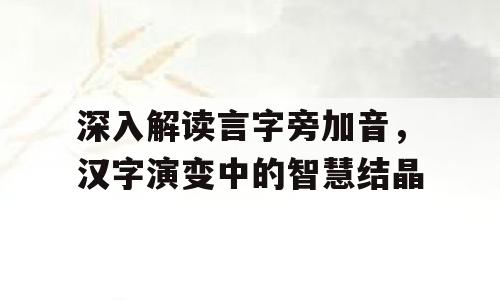 深入解读言字旁加音，汉字演变中的智慧结晶