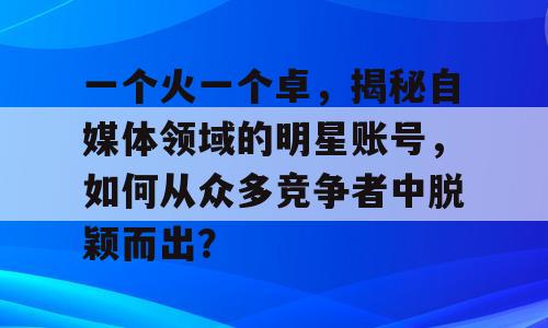 一个火一个卓，揭秘自媒体领域的明星账号，如何从众多竞争者中脱颖而出？