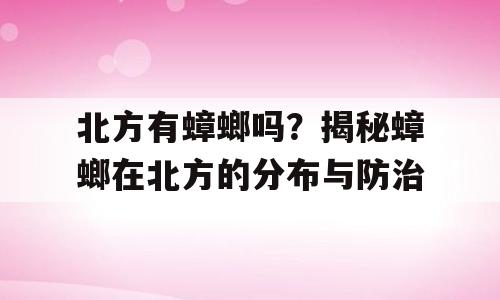 北方有蟑螂吗？揭秘蟑螂在北方的分布与防治